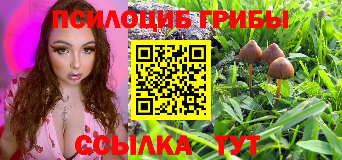Тюмень  магазин    Псилоцибиновые грибы MAGIC MUSHROOMS  Вход с VPN  Псилоцибиновые грибы мицелий 